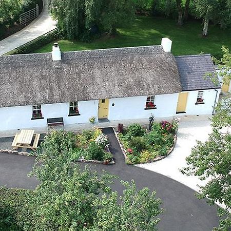 Rosies Cottage Maghera  Zewnętrze zdjęcie
